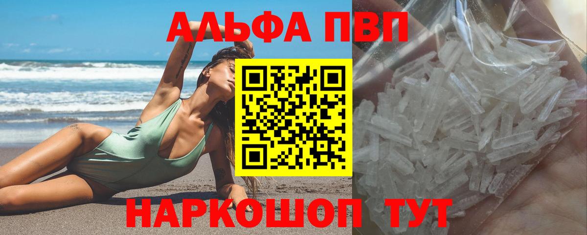 A PVP СК Великий Новгород