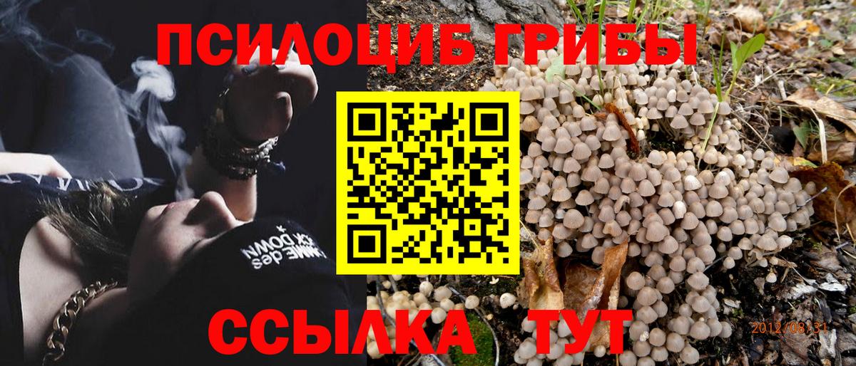 Галлюциногенные грибы мицелий Великий Новгород