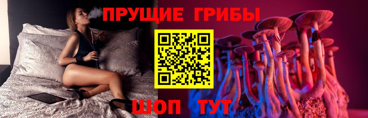 купить закладку  Галлюциногенные грибы Magic Shrooms  Вход с VPN  Великий Новгород  Псилоцибиновые грибы мухоморы 